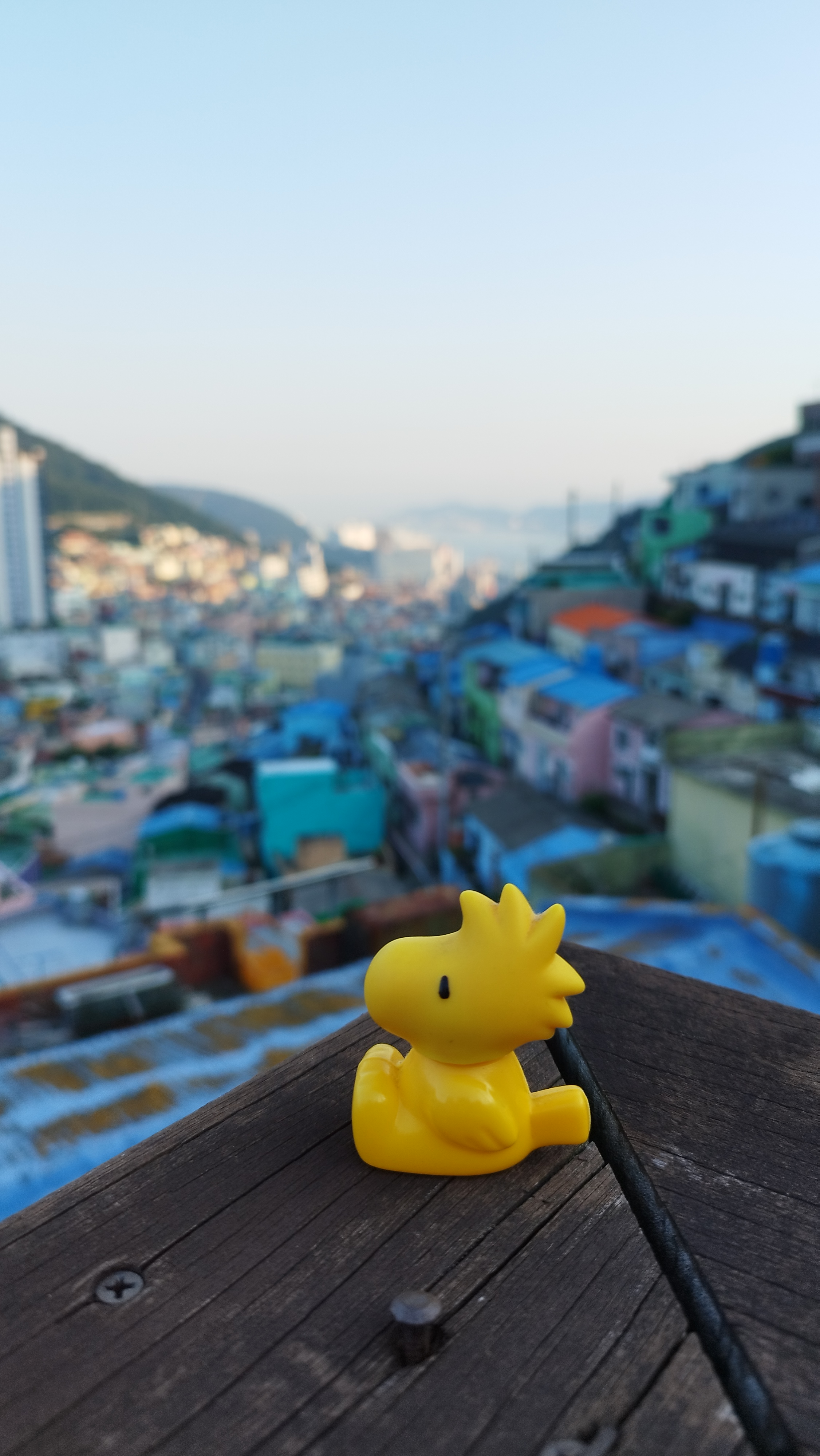 洗米華